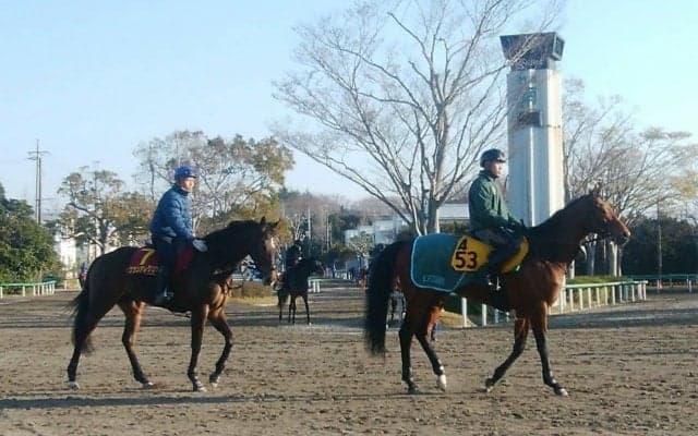 【桜花賞】グランアレグリア 藤沢和師「素晴らしい能力の持ち主」