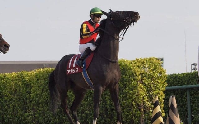 【ニュージーランドT】ルメール「超スローペース…」1番人気アガラスは4着まで