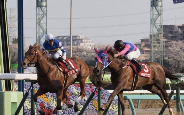 【ニュージーランドＴ】ワイドファラオが逃げ切り！スローを演出して押し切る