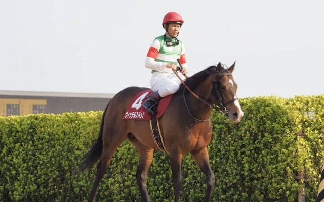 【ニュージーランドT】戸崎「切れ味はすごいです」レース後 ジョッキーコメント