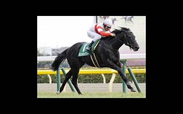 ダノンキングリーが凄まじく成長。打倒サートゥルナーリアへ絶好調だ