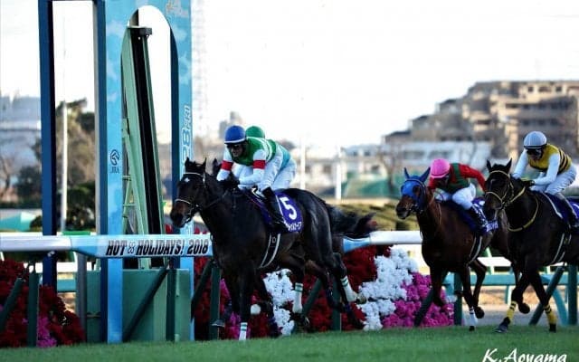 【皐月賞】登録馬と見どころ サートゥルナーリアなど19頭