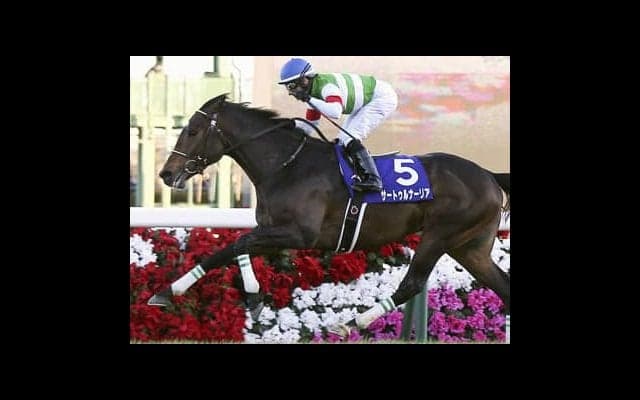 サートゥルナーリアは本当に一強か。ぶっつけの皐月賞に隠された不安