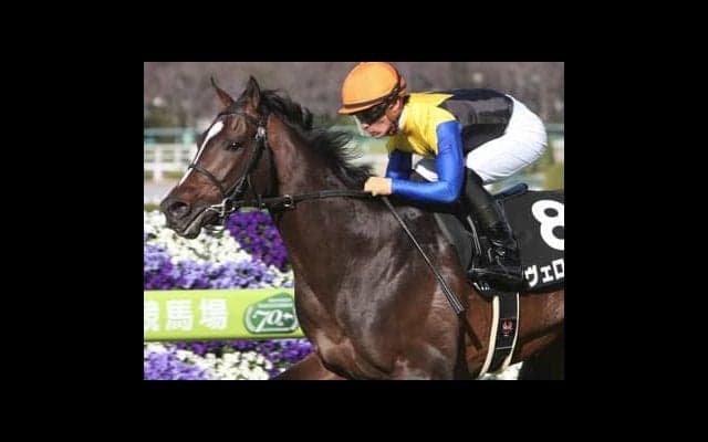 本命の異例ローテで大混戦。皐月賞を読み解く「３歳牡馬ランキング」