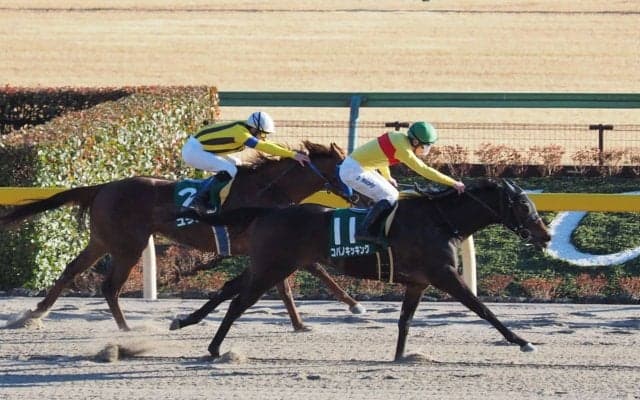【東京スプリント】藤田菜七子 コパノキッキングは3枠6番