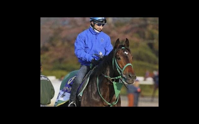 アンカツ自信の「３歳牡馬番付」。皐月賞、ダービーの結果が見えた