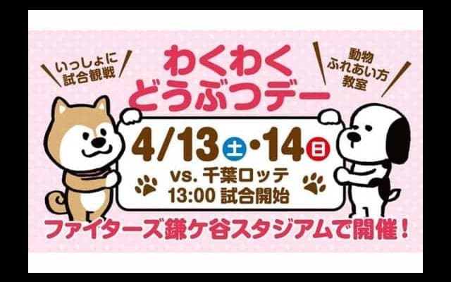日ハム2軍で「わくわくどうぶつデー」実施　吉田輝VSロッテ藤原の対決も!?