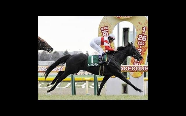 皐月賞はダノンキングリーが狙い目。血統、馬場適性と好材料ばかりだ