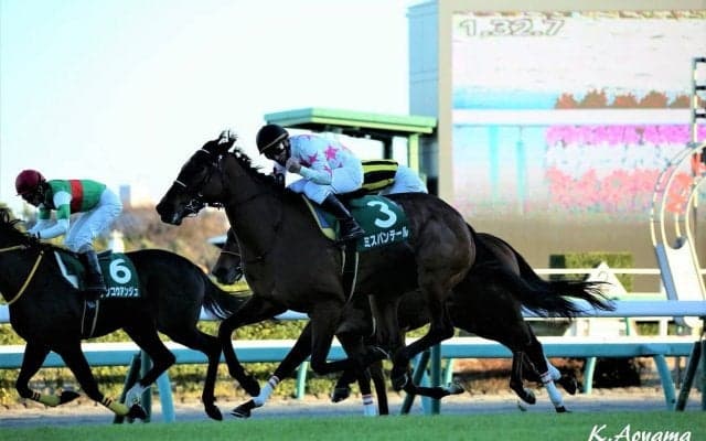 ミスパンテール号が競走馬登録抹消