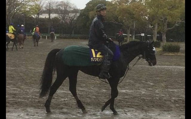 【皐月賞】ダノンキングリー  東のエース格！打倒サートゥルに闘志を燃やす