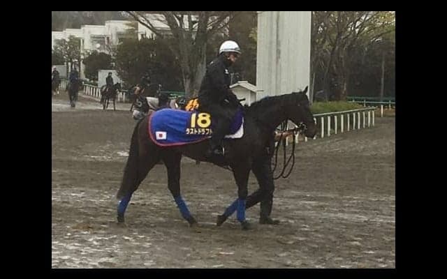 【皐月賞】ラストドラフト 地の利で逆転狙う