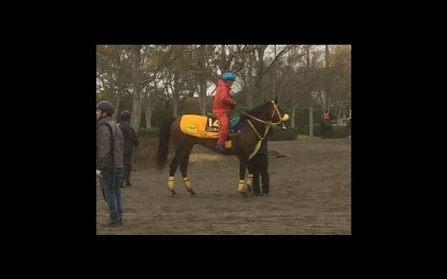 【皐月賞】ニシノデイジー  大一番で巻き返しなるか