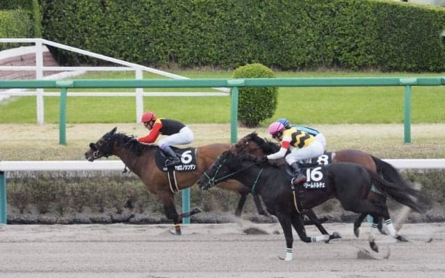 【京葉S】武豊アポロノシンザンが逃げ切る