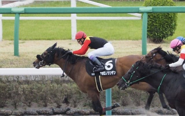 【京葉S】武豊「踏ん張ってくれた」アポロノシンザン逃げ切る