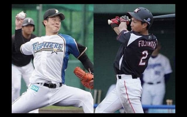 日本ハム吉田輝＆柿木とロッテ藤原の注目対決をもう一度　全球動画で振り返る