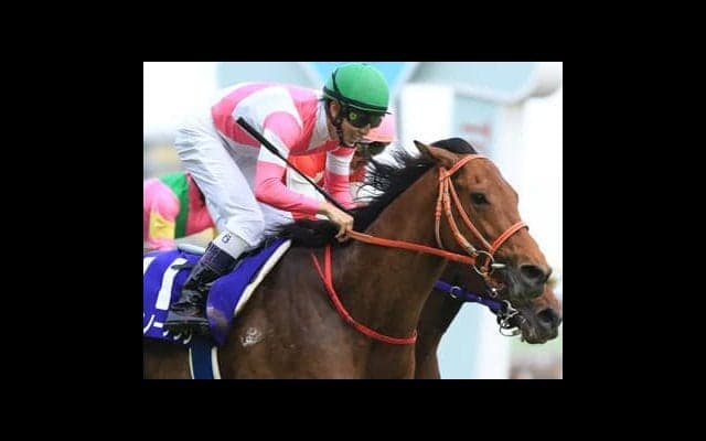 マイラーズＣは万馬券の確率大。人気落ちのＧＩ馬と善戦マンが大駆けする