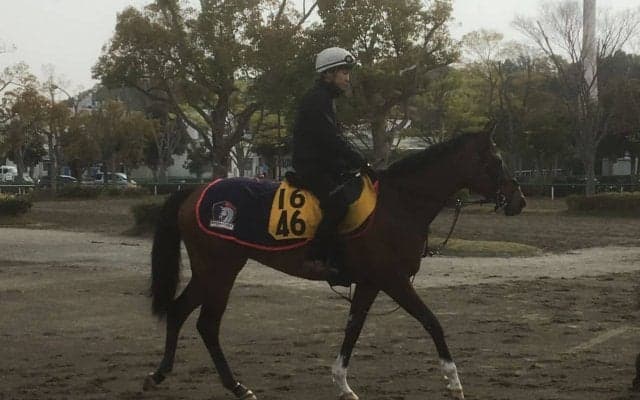 【福島牝馬S】フローレスマジック 木村師「うまく噛み合えば…」