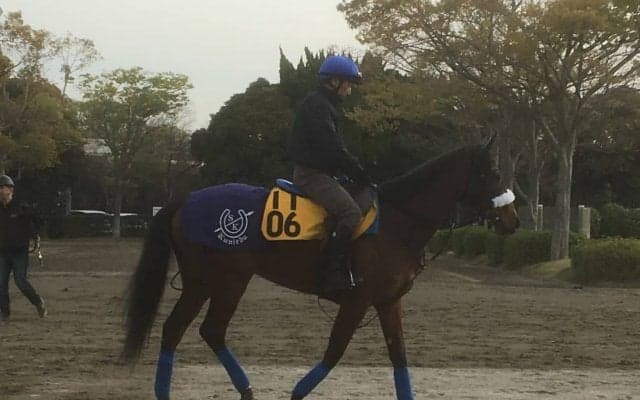 【福島牝馬S】ダノングレース 3連勝で重賞タイトルなるか