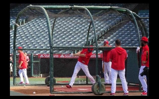 【MLB】大谷翔平、33スイングで柵越え9発　打撃練習合流、指揮官「復帰近づいてはいる」