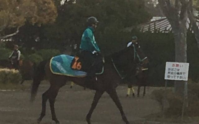 【フローラS】パッシングスルー 黒岩師「ここでも楽しみ」