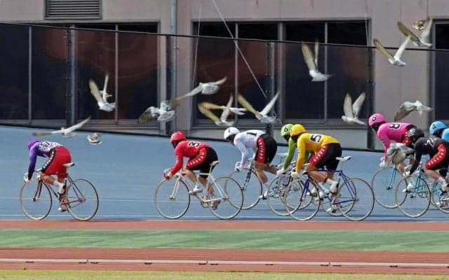 高知G3（3日目）ピックアップ