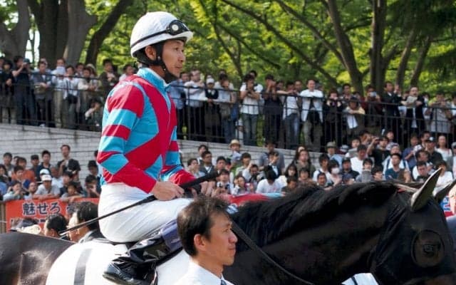 「2019 JRAブリーズアップセール」好調！最高落札額はキズナ産駒