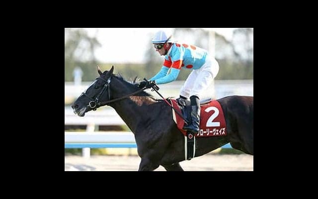 平成最後の天皇賞・春は「華麗なる一族」の３頭が魅せる！　