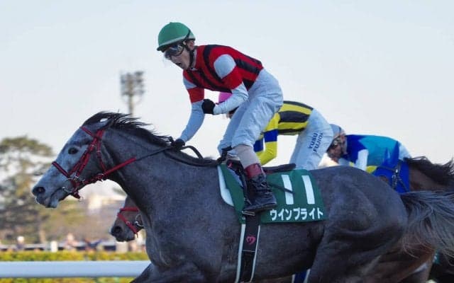 2019香港チャンピオンズデー 日本馬の近況（4月24日）