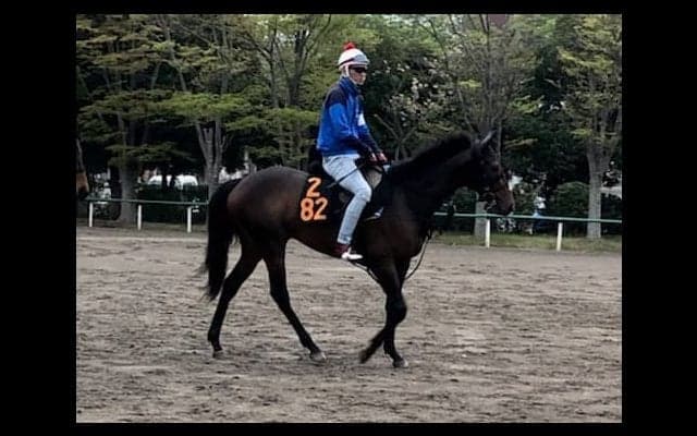 【青葉賞】キタサンバルカン  得意の東京でチャンス