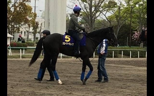 【天皇賞・春】グローリーヴェイズ  メジロの血を味方に天皇賞制覇を目指す