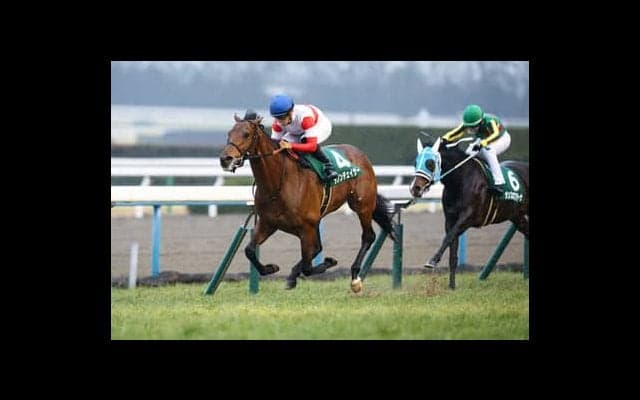 高額馬がいよいよ本領発揮か。「変則二冠」に挑むダノンチェイサー