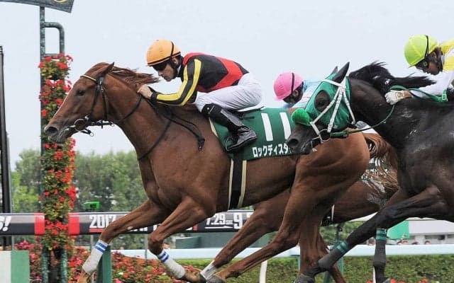 ロックディスタウン号が競走馬登録抹消
