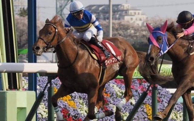 【NHKマイルC】出走馬の調教後の馬体重