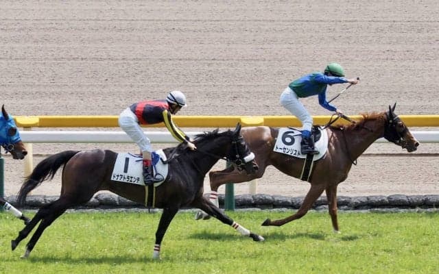 【東京6R】トーセンリストがまんまと逃げ切り！ドナアトラエンテは2着