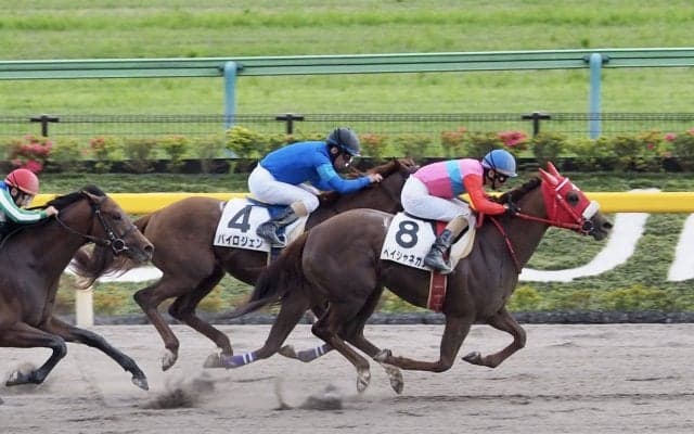 【東京7R】ペイシャネガノが抜け出す！深山雅史調教師は初勝利