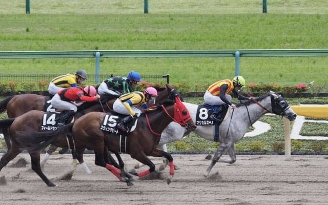 【立夏S】ルメールが混戦に断！マジカルスペルが混戦から抜け出す