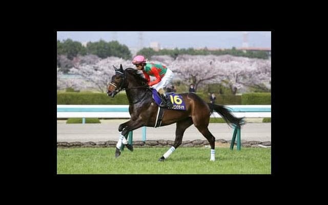 屈指の切れ者シゲルピンクダイヤ。名物オーナーに破格の夢を届けるか