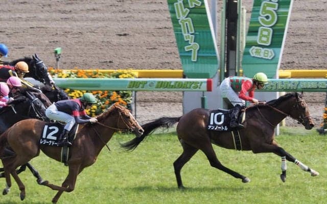 【湘南S】上がり33.2 アンノートルが差し切り！芝コースは速い脚が必要