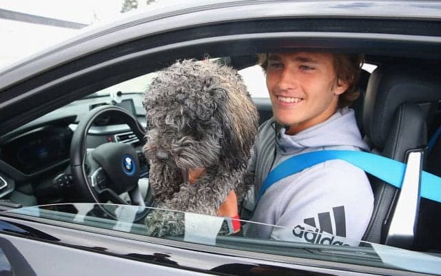 ズべレフ、マイアミで一目惚れ！小さな家族を迎え入れることに！