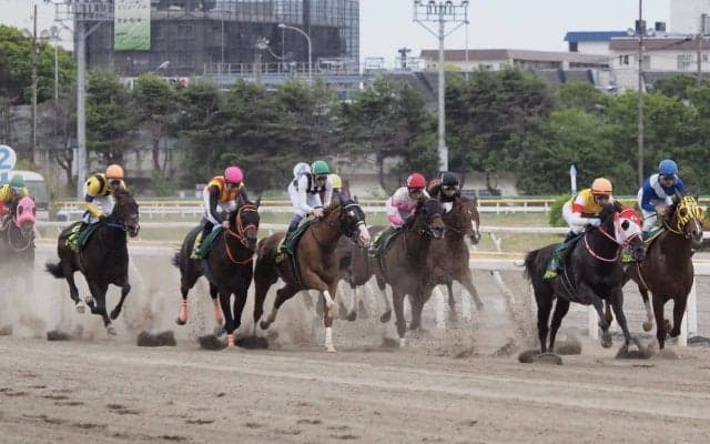 【かしわ記念】平田師「帝王賞に向かいます」レース後 関係者コメント