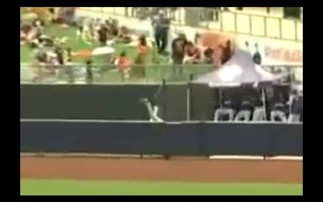 【MLB】米2Aで“強奪スタンドイン”の超美技！　判定は？　「なぜ本塁打にならない」