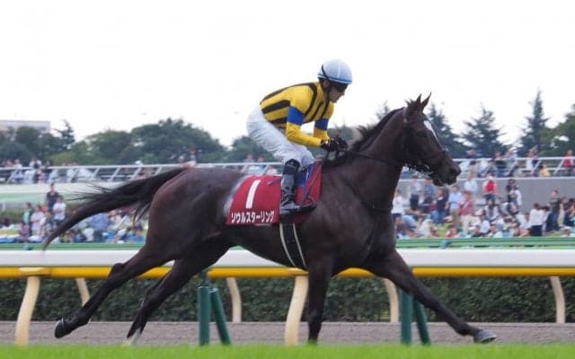 【武豊日記】ソウルスターリング