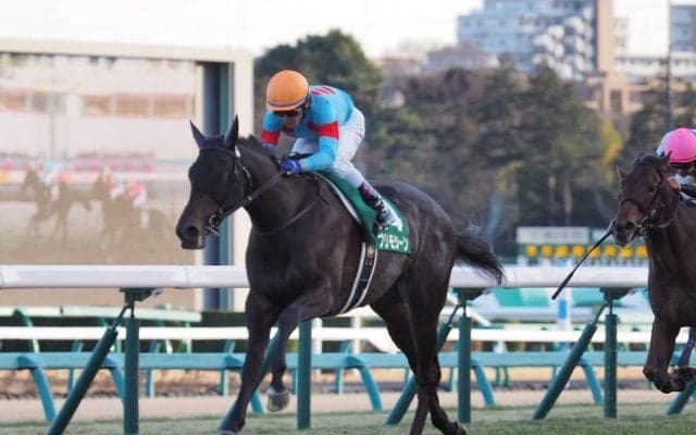 【ヴィクトリアマイル】枠順と見どころ プリモシーンは5枠9番