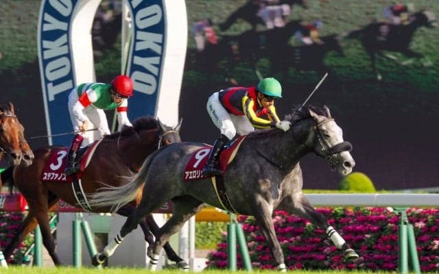 【ヴィクトリアマイル】アエロリット 菊沢師「東京は1番パフォーマンスが上がる」