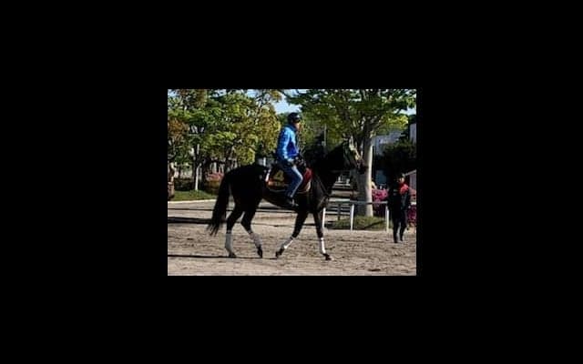 【京王杯SC】キャナルストリート 1400はベスト！