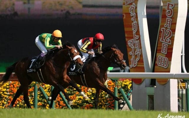 【夏木立賞】ヴァンランディがラストまで抜かせない勝負根性を発揮！