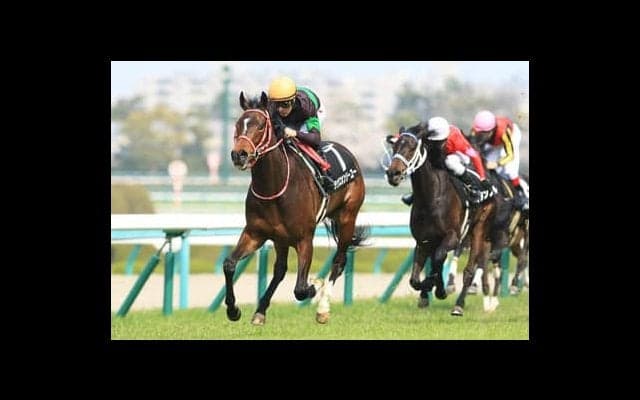 ３連続完勝のラヴズオンリーユー。魅惑の良血馬はクラシック級の評価