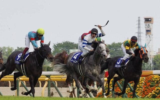 大混戦のヴィクトリアマイルを制したのはノームコア