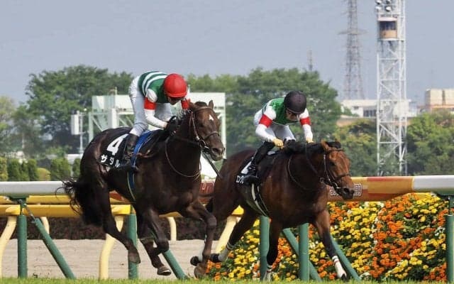 雹（ひょう）で延期のプリンシパルSはザダルが勝利