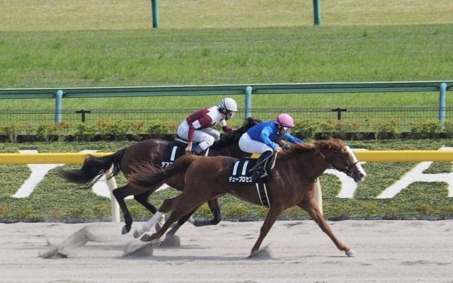 【青竜S】デュープロセスが4連勝を決める！